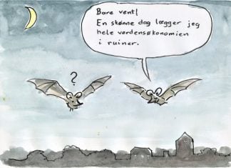 Lille dyr, stort ego