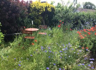 Kan Kerteminde Kommune blive vildere?