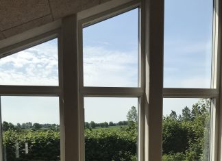 Yogatræet – et sted for krop og sind