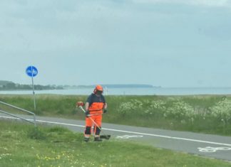 Tip kommunen om biodiversitet i vejkanten