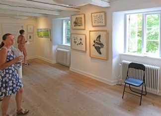 Det Dyrebare Liv på Toldboden