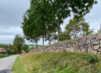 Grøn – grønnere – grønnest