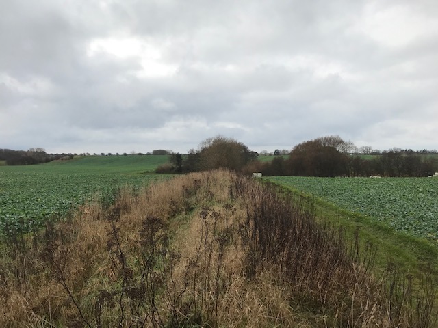 Nordskov område
