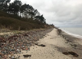 Nej tak til luksussommerhuse ved Nordskov