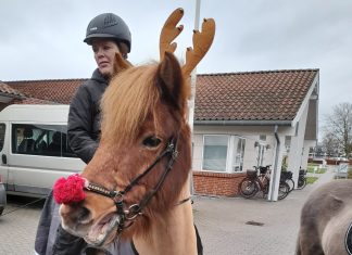 En juleoplevelse med vrinsk i!