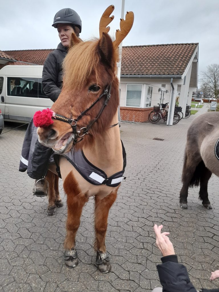 Forklædt som Rudolf