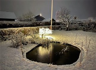 Op til jul i Kerteminde
