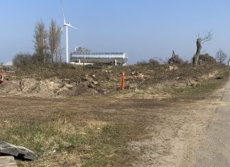 Odense Havn fjerner ”lille skov” i Munkebo