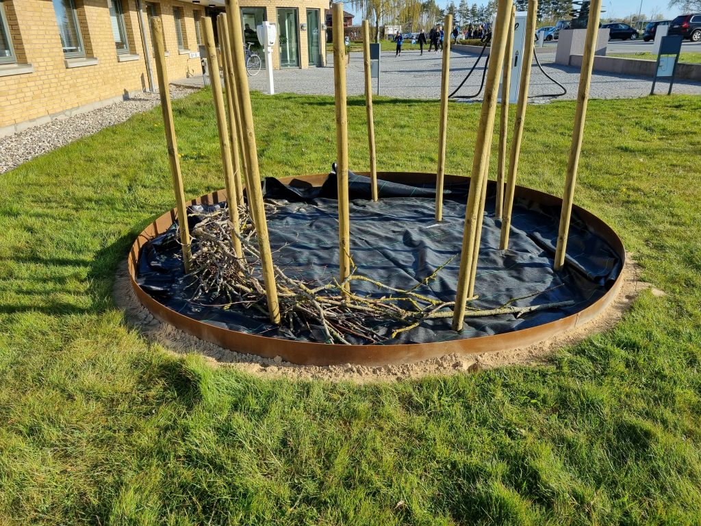 Etablering af biodiversitetsområde ved nef
