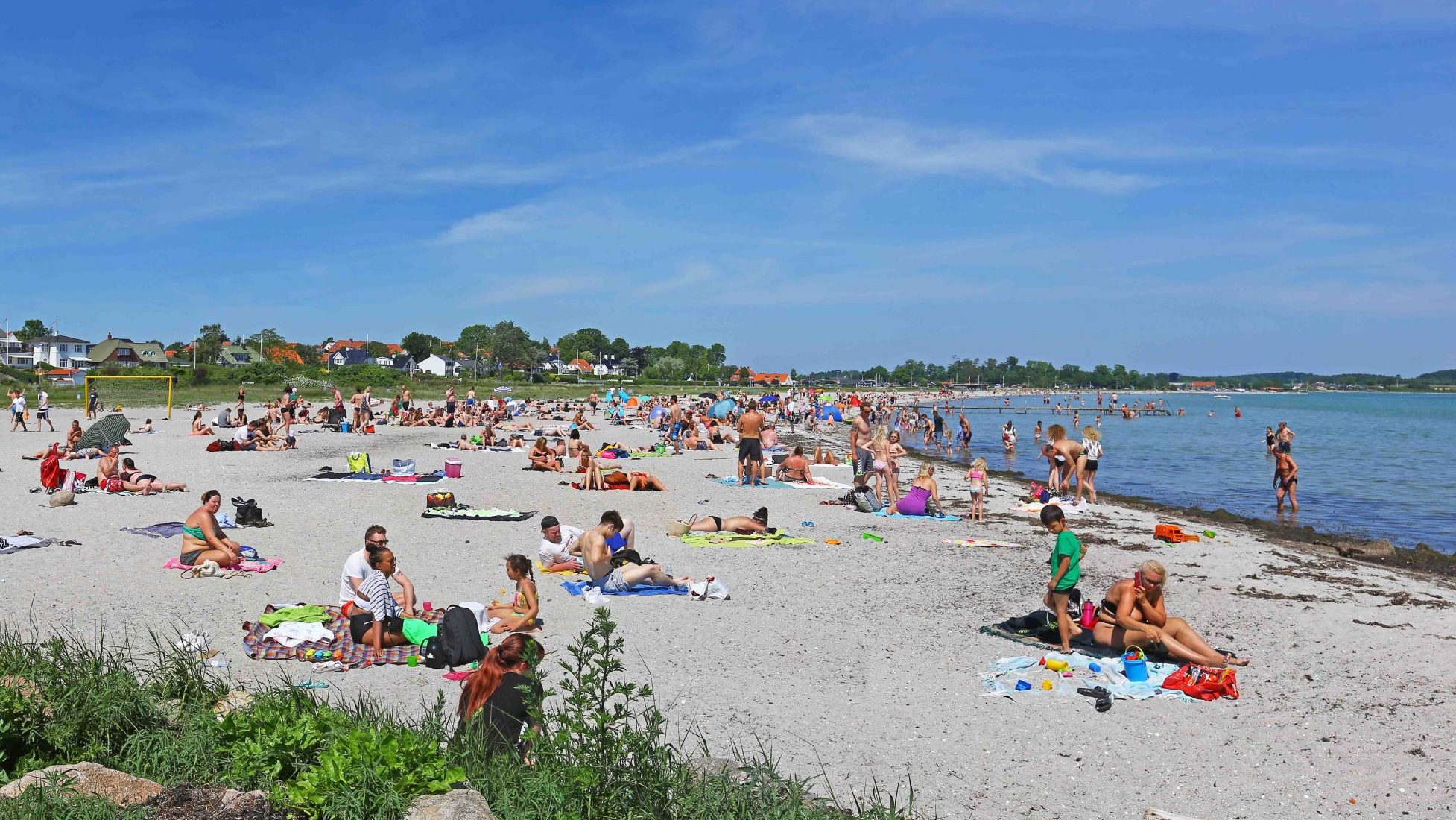 Fluepapir på Nordstranden Fluepapir på Nordstranden