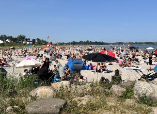 FØR du tager på stranden: Følg livreddernes råd!