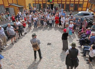 Kirsebærfestivalen får færre penge i tilskud “Vi skal ud og lede efter penge allerede nu”