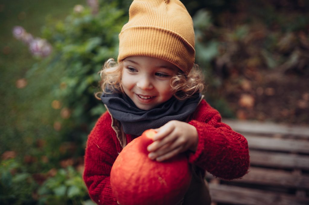 Little girl harvesting organic pumpkin in eco garden in autumn, sustainable lifestyle.
