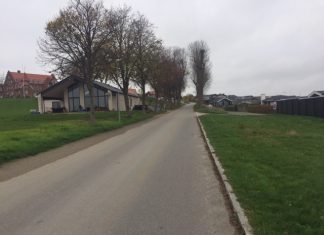 De gamle træer får lov at stå