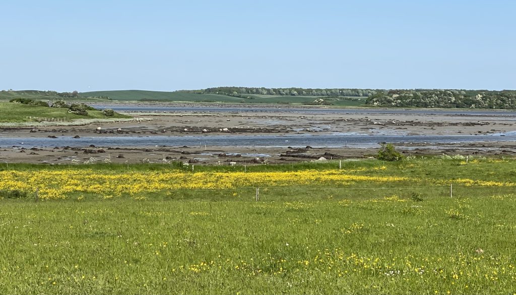 Lillestranden set fra Langø mod Bogø og Fynshoved i baggrunden