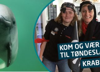 Fjord&Bælt åbner for sæson 2023 med fokus på børnenes vinterferie.