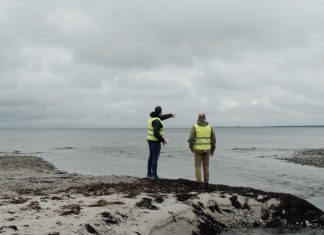 14.000 ørreder bliver sat ud i Kertinge Nor – Du kan hjælpe med sikre overlevelsen