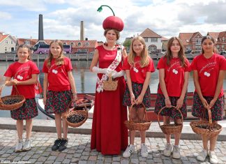 Kirsebærfestivalen var en success: “Vi kan slet ikke få armene ned”, siger formand