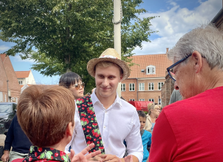 Kritik: En aktiv politiker bør ikke kunne vælges som Kirsebærminister