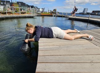 Fjord & Bælt søger unge til naturnørderi