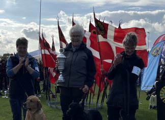Hunden Sasja er blevet danmarksmester
