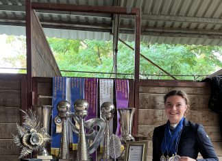 Helena fra Taarup har viet alle sine 18 år til araberheste: – Jeg er startet på gymnasiet, men får nok ikke brug for det