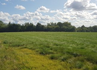 Solcellepark ved Birkende udskydes på ubestemt tid