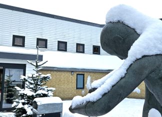 Kerteminde HK’s bedste herrehold kom aldrig på banen på grund af snevejr i Sønderjylland Hkh8