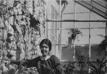 Kerteminde-kunstnere på planteudstilling i Faaborg Alhed Larsen