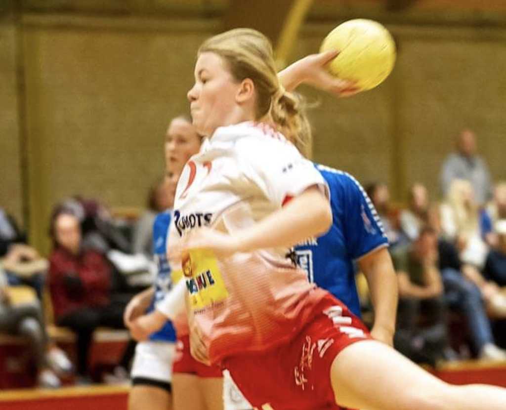 Skærmbillede 2024 02 19 Kl. 16.16.53
