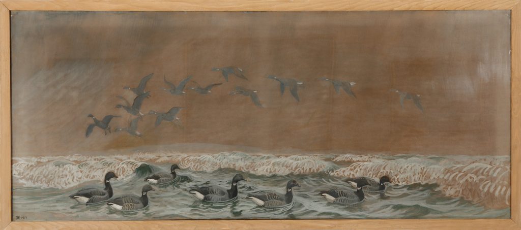 Svømmende Og Flyvende Knortegæs,1917, Gouache På Papir. 100 X 225 Cm. Johannes Larsen. Foto Ole Friis.