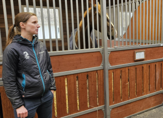 Danmarks højest hoppende hingste dyster i Martofte Skærmbillede 2024 05 03 Kl. 12.53.19