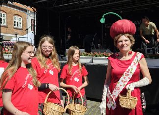 Perfekt vejrudsigt for Kirsebærfestivalen 20240719 111322