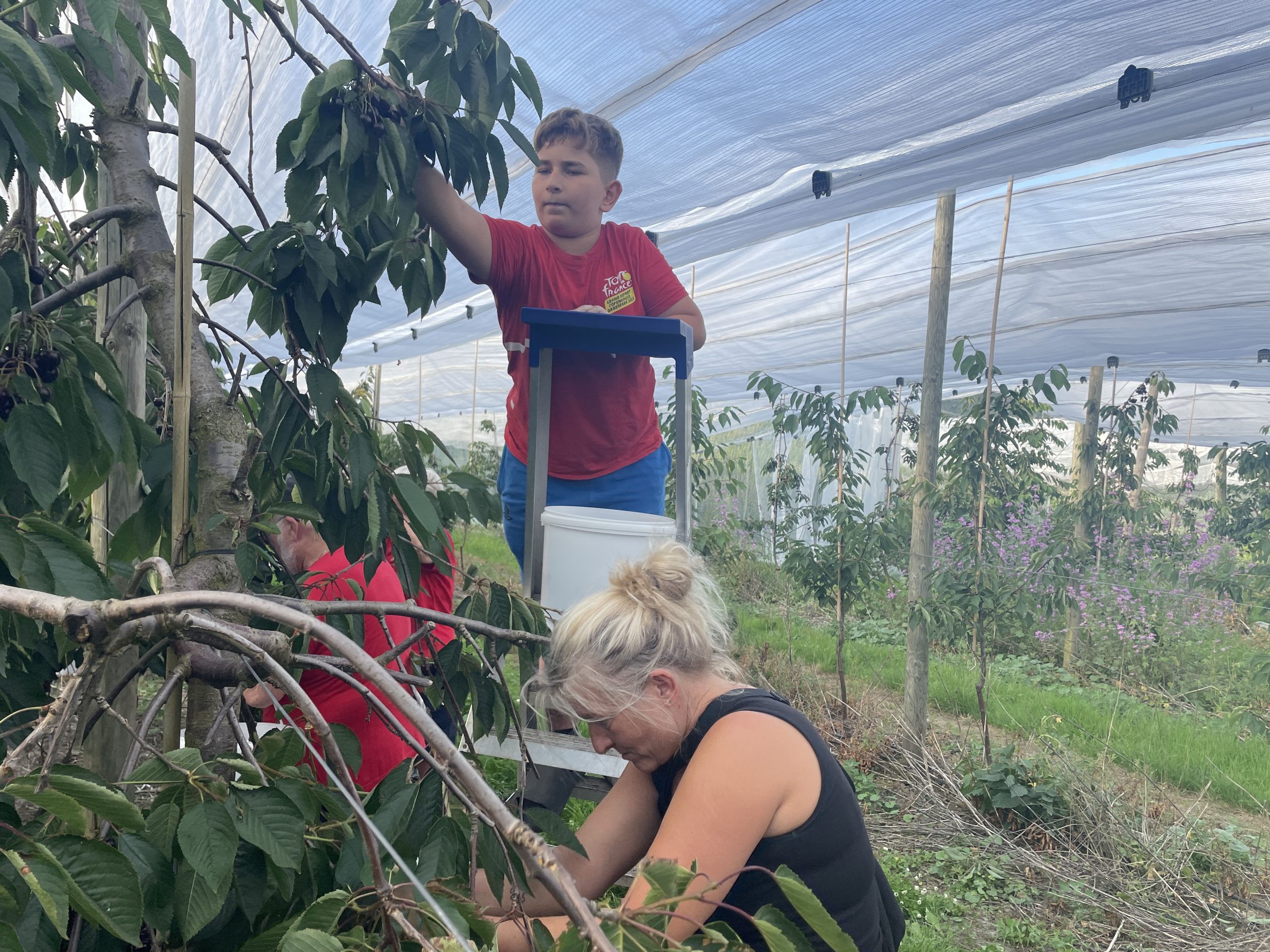 Foto: Laura Højris From Petersen