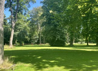 Diskussion: Hvad er bedst og billigst – privat eller kommunalt? Img 0475