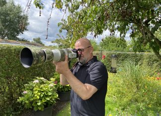 Skovens skygge: Jan Christiansen kender naturens dybeste hemmeligheder Jan Christiansen, naturfotograf