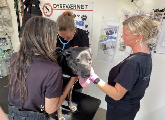 Frynseklinikkens heltegerninger: – Vi får mange kram i løbet af dagen Frynseklinikken