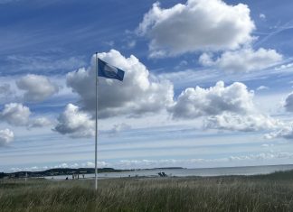 Debat om hundes færden på Blå Flag-strande Img 0733