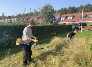 Tre unge iværksættere knokler med haveservice og rens af biler Image00002