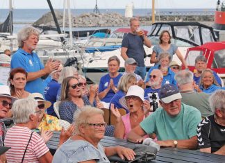 Kommunen hyrer vagter efter ballade på marinaen Medlevende Publikum