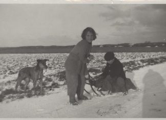 Nedtælling til jul: 21. december F204 Glædelig Jul Fra Palle Og Chonny
