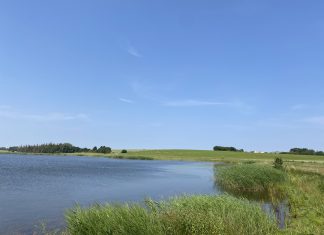 Politiet træner med lighunde flere steder i Kerteminde og omegn Sybergland