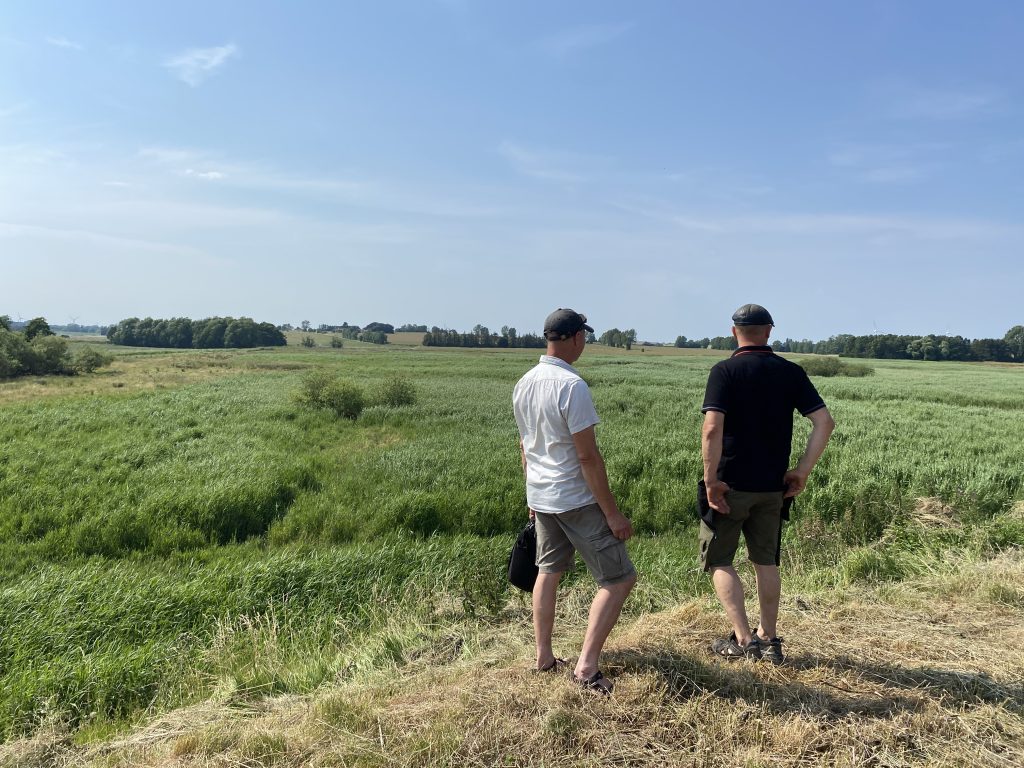 Sybergland