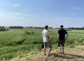 En dag i Sybergland: Naturens genopstandelse Sybergland
