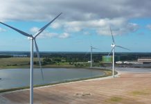 Massefyringer på Lindø: Hårdt slag mod havnens udvidelsesplaner Vindmøller 3