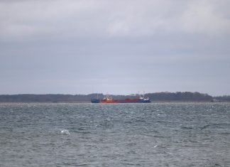 Fragtskibet Amadeus Gold stødte i nat på grund tæt på Lindøterminalen Image