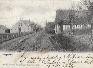 Nedtælling til jul: 15. december Julekortllfa