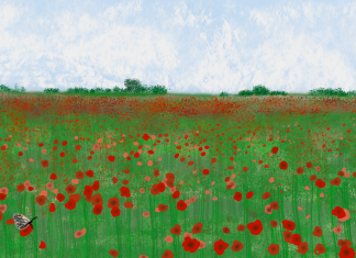 Naturen er under pres i Kerteminde Kommune. Nu skal der handles Img 0218