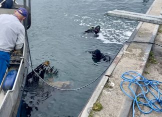Hovedrengøring i havnen – se videoen af hvad der blev hevet op af vandet Img 4244