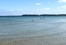 På opdagelse ved stranden Strand kerteminde kommune